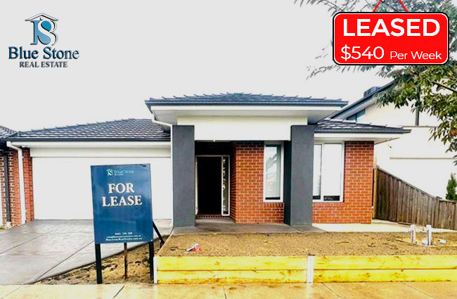 43 Ashbourne blvd donnybrook 